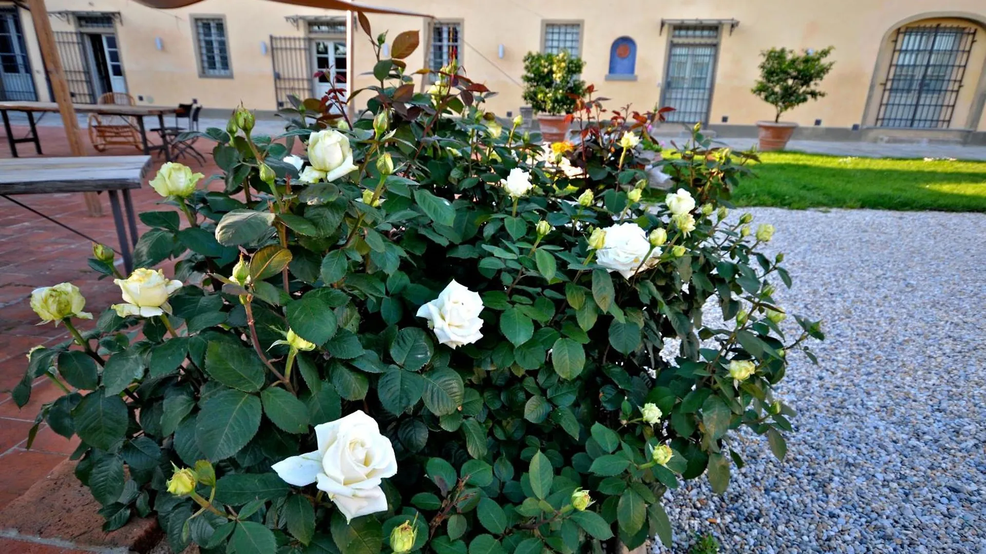 Agriturismo San Rocco Guest House Pistoia
